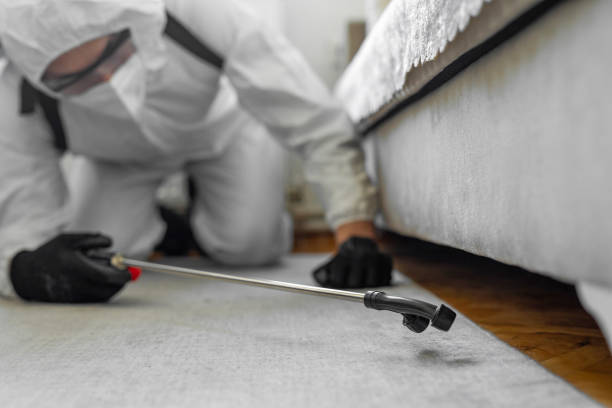 Professional Termite Control technician working in Randolph County County, AR